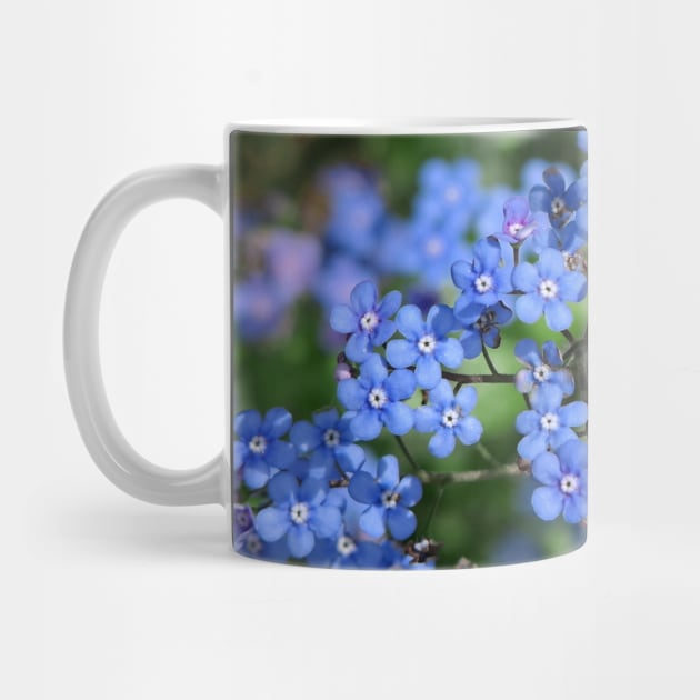 Forget-me-nots (Myosotis) by Ludwig Wagner
